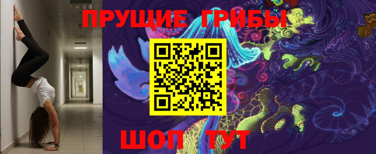 Псилоцибиновые грибы мицелий Моздок