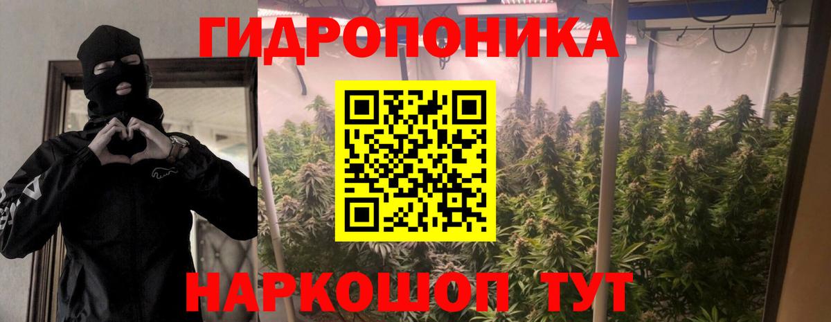 Моздок  МАРИХУАНА тримм  Бошки марихуана SATIVA & INDICA  Вход с VPN 